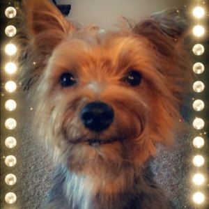 Meet your Posher, Lisa